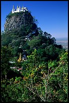 Complex of monestaries on a volcanic spire. Mount Popa, Myanmar