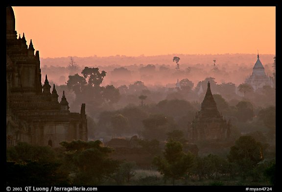 Receeding lines through the dawn mist. Bagan, Myanmar
