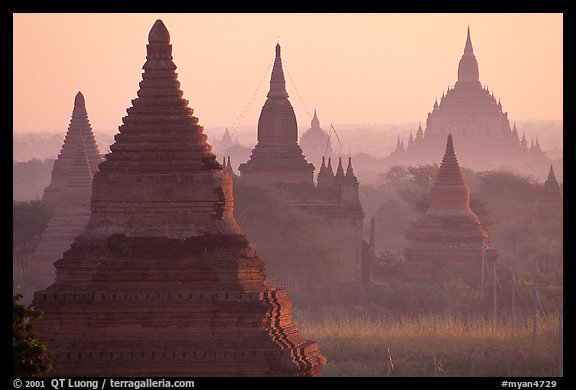 View over temples from Mingalazedi. Bagan, Myanmar