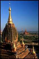 Gilded temples seen from Dhammayazika. Bagan, Myanmar