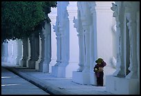 Stupas containing 729 marble slabs forming world biggest book, Kuthodaw Paya. Mandalay, Myanmar ( color)