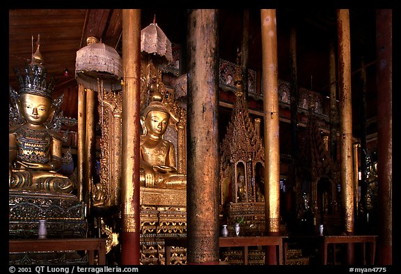 Jumping cat monestary. Inle Lake, Myanmar (color)