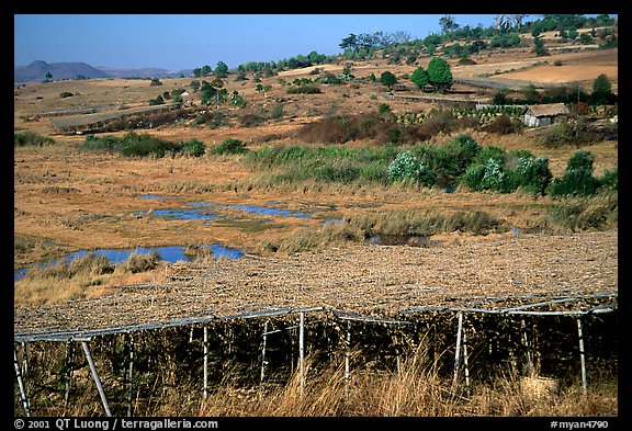 Cultivation. Shan state, Myanmar