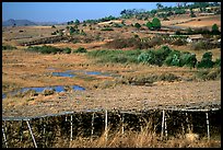 Cultivation. Shan state, Myanmar