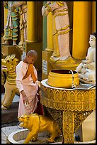 Nun pouring water at planetary post. Yangon, Myanmar ( color)