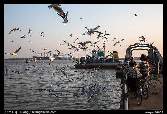 Children on bicycle feed seagulls on the Yangon River. Yangon, Myanmar (color)