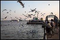 Children on bicycle feed seagulls on the Yangon River. Yangon, Myanmar ( color)