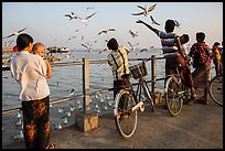 Yangon River pier with seagulls fed by visitors. Yangon, Myanmar ( color)