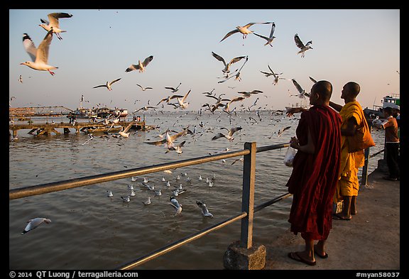 Seagulls flying as monks feed them from Botataung pier. Yangon, Myanmar (color)