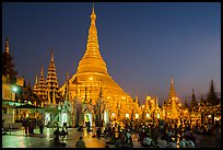 Praying from the Victory Ground, Shwedagon Pagoda, dusk. Yangon, Myanmar