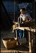 Villager processing harvest. Bagan, Myanmar ( color)