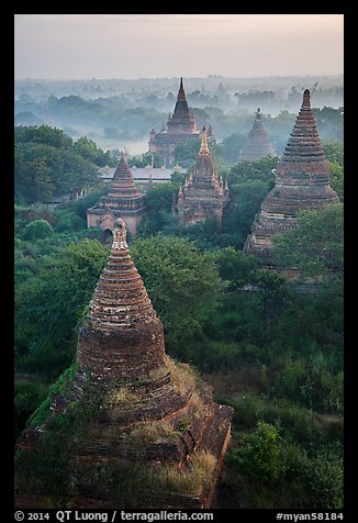 Aerial view of ancient temples. Bagan, Myanmar (color)