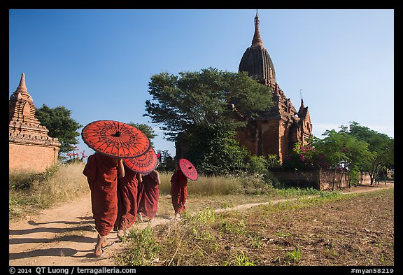 Young Buddhist monks holding red sun umbrellas walk towards temple. Bagan, Myanmar