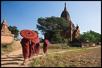 Young Buddhist monks holding red sun umbrellas walk towards temple. Bagan, Myanmar