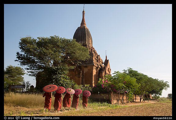 Five novices with red umbrellas walking below temple. Bagan, Myanmar (color)