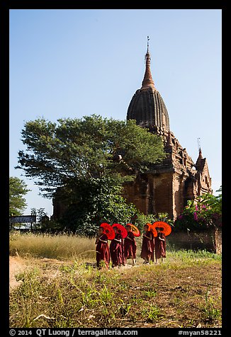 Novices holding red sun umbrellas walk from temple. Bagan, Myanmar (color)