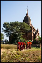 Novices holding red sun umbrellas walk from temple. Bagan, Myanmar