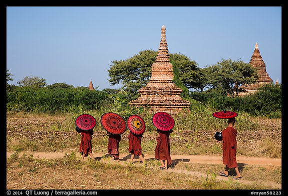 Buddhist Novices with red sun umbrellas on path near old stupas. Bagan, Myanmar