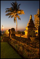 Palm tree and stupa at sunset. Bagan, Myanmar