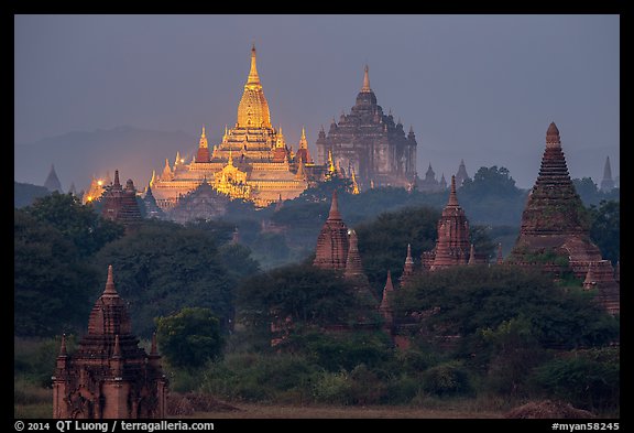 Temples at dawn, including Ananda and Thatbyinnyu. Bagan, Myanmar