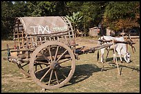 Ox cart marked as taxi, Mingun. Myanmar ( color)