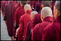 Shaven heads of monks, Mahagandayon Monastery. Amarapura, Myanmar ( color)