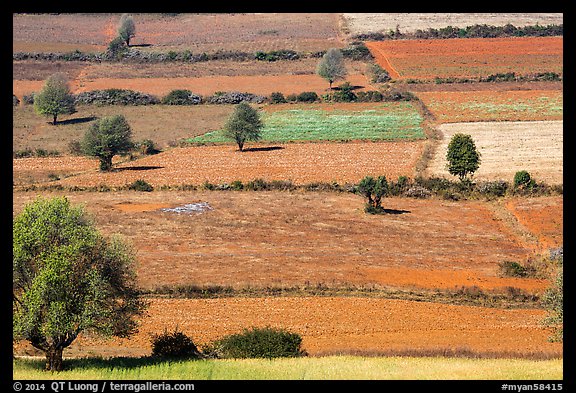 Colorful mosaic of cultivated fields. Shan state, Myanmar (color)