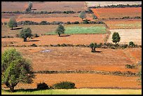 Colorful mosaic of cultivated fields. Shan state, Myanmar ( color)