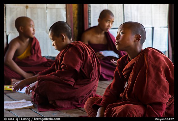 Buddhist monks studying, Shweyanpyay Monastery, Nyaung Shwe. Inle Lake, Myanmar (color)