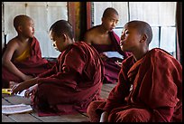 Buddhist monks studying, Shweyanpyay Monastery, Nyaung Shwe. Inle Lake, Myanmar ( color)