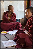 Novices studying, Shweyanpyay Monastery, Nyaung Shwe. Inle Lake, Myanmar ( color)