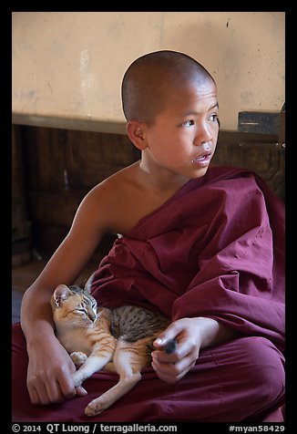 Novice petting cat, Shweyanpyay Monastery, Nyaung Shwe. Inle Lake, Myanmar (color)