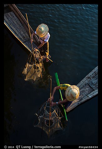 Intha fishermen use spear to stir weed and expose fish. Inle Lake, Myanmar (color)
