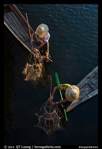 Intha fishermen use spear to stir weed and expose fish. Inle Lake, Myanmar (color)