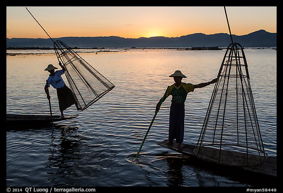 Intha fishermen lifting traditional conical net at sunset. Inle Lake, Myanmar (color)