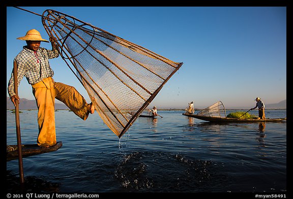 Intha fisherman lifting conical net basket. Inle Lake, Myanmar (color)