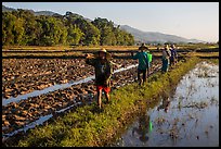 Villagers returning from a day of work in the fields, Maing Thauk Village. Inle Lake, Myanmar ( color)