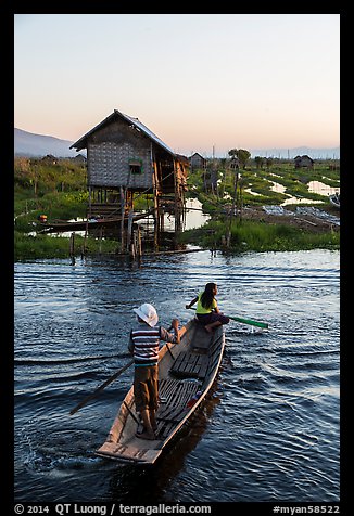 Children rowing across canal towards floating gardens, Maing Thauk Village. Inle Lake, Myanmar (color)