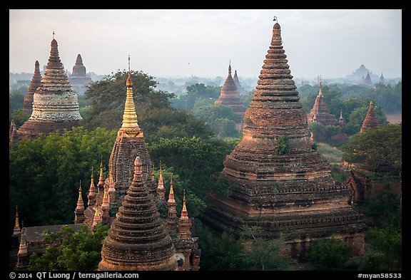 Dense array of ancient temples. Bagan, Myanmar (color)