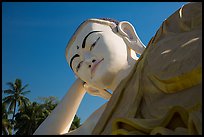 Head of Mya Tha Lyaung Reclining Buddha. Bago, Myanmar ( color)