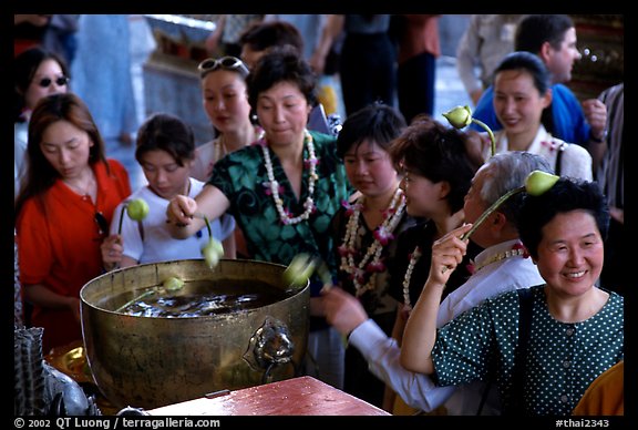 Worshippers dip lotus flowers and bring them to their heads. Bangkok, Thailand (color)