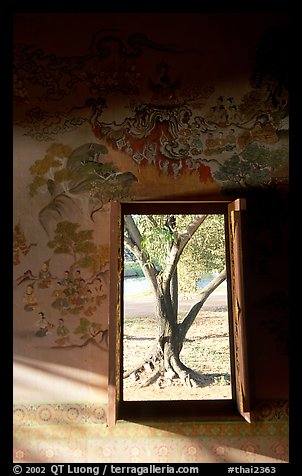 Tree seen through window. Muang Boran, Thailand