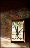 Tree seen through window. Muang Boran, Thailand (color)