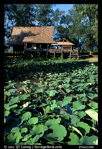 Stilt house on lotus pond. Muang Boran, Thailand (color)