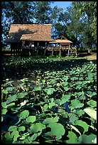 Stilt house on lotus pond. Muang Boran, Thailand