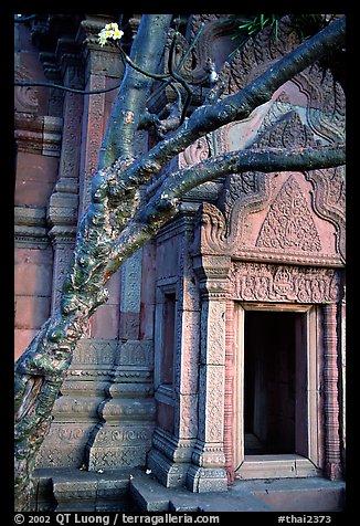 Vegetation invades khmer-style temple. Muang Boran, Thailand