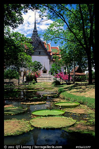 Lotus pond and Ayuthaya-style temple. Muang Boran, Thailand