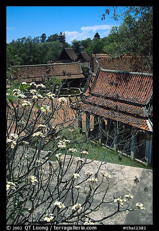 Blooming tree and rooftops. Muang Boran, Thailand