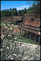 Blooming tree and rooftops. Muang Boran, Thailand ( color)
