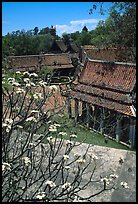 Blooming tree and rooftops. Muang Boran, Thailand